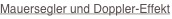 shapeimage_3_link_137
